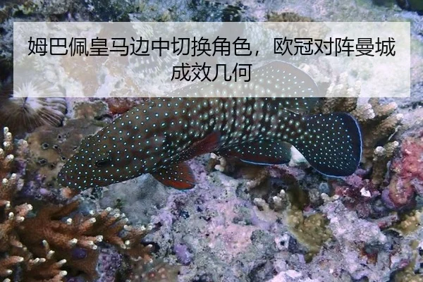 mu-ba-pei-huang-ma-bian-zhong-qie-huan-jue-se-ou-guan-dui-zhen-man-cheng-cheng-xiao-ji-he-3-535.jpg