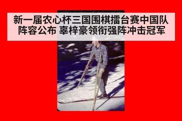 新一届农心杯三国围棋擂台赛中国队阵容公布 辜梓豪领衔强阵冲击冠军