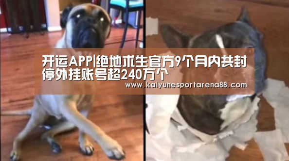 开运APP|绝地求生官方9个月内共封停外挂账号超240万个(图2) 开运真人
