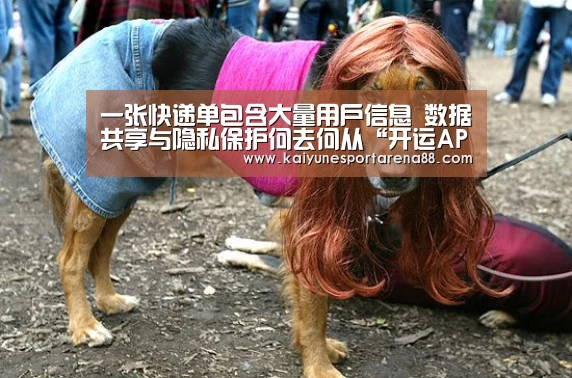 开运官网
